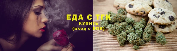 ECSTASY Алзамай