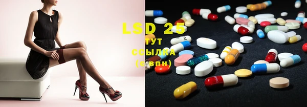 ECSTASY Алзамай