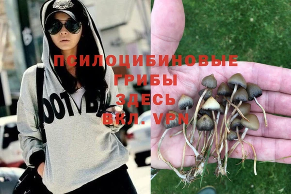 марки lsd Алексин