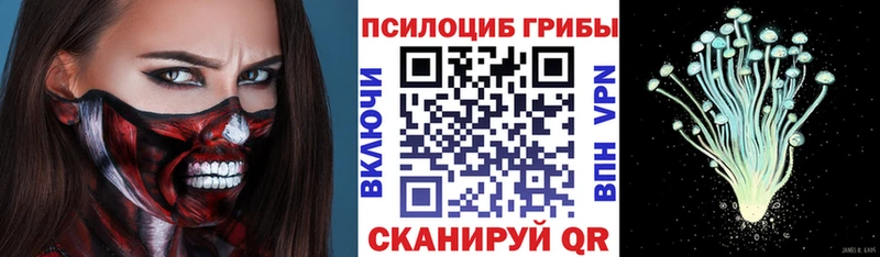 Псилоцибиновые грибы Psilocybine cubensis Неман